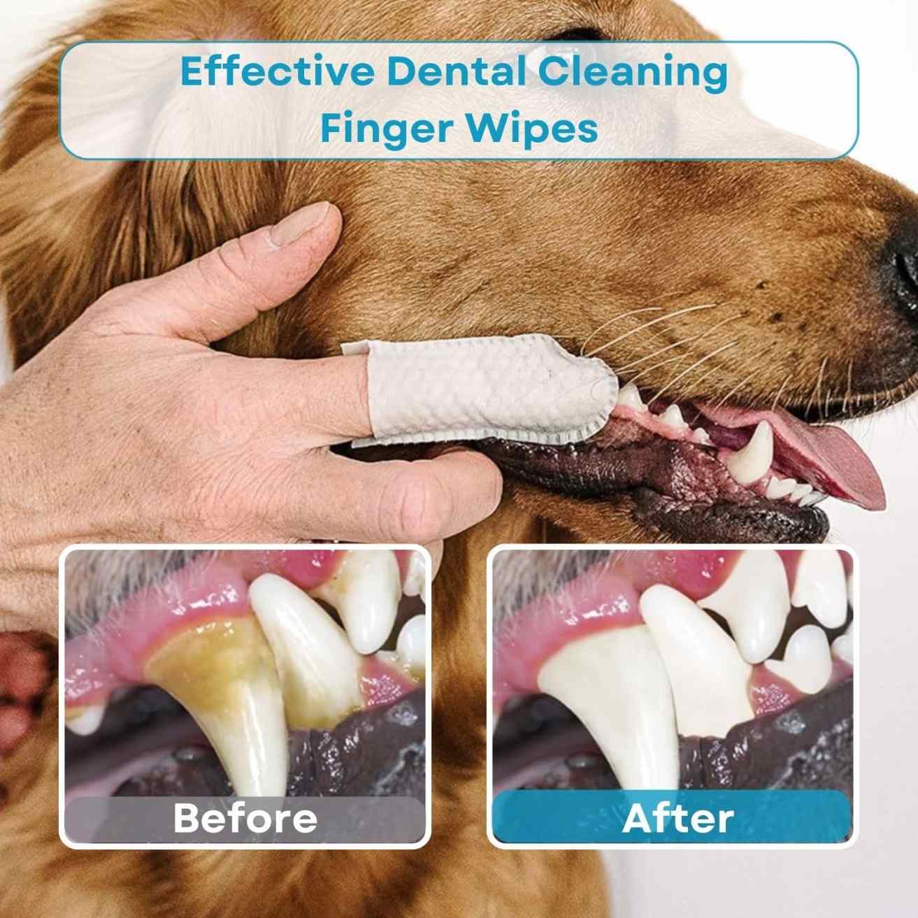 Pet Teeth Cleaning Finger Wipes for Dogs & Cats (50 Pcs)