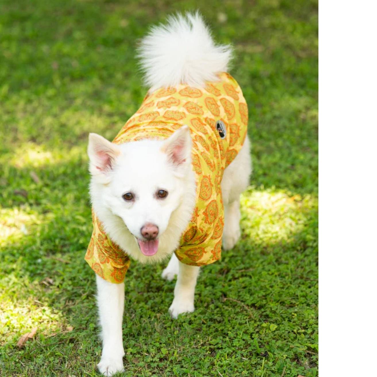 Traditional Green Printed Yellow Kurta for Dogs