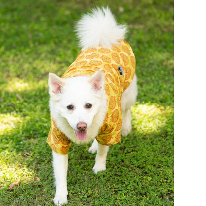 Traditional Green Printed Yellow Kurta for Dogs
