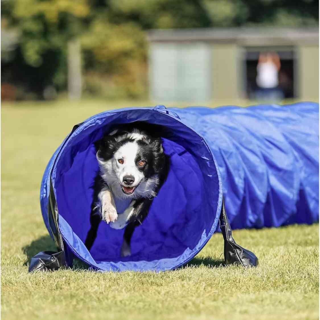 Dog Agility Tunnel for Dogs | Portable Foldable Training Tunnel