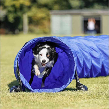 Dog Agility Tunnel for Dogs | Portable Foldable Training Tunnel