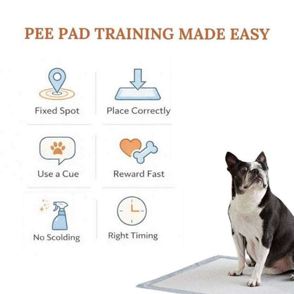 Dog Training Pads | Ultra Absorbent Leak Proof Puppy Pee Pads (Pack of 10)