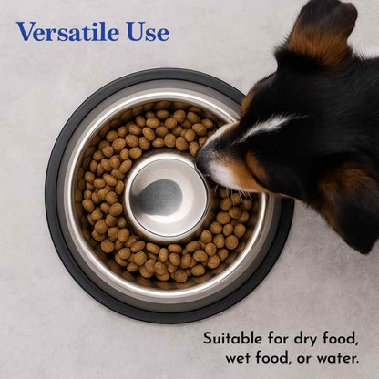Stainless Steel Slow Feeding Dog Bowl for Pets