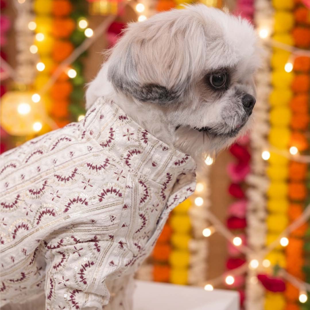 Festive Glory Kurta | White Red Designer Kurta for Dogs