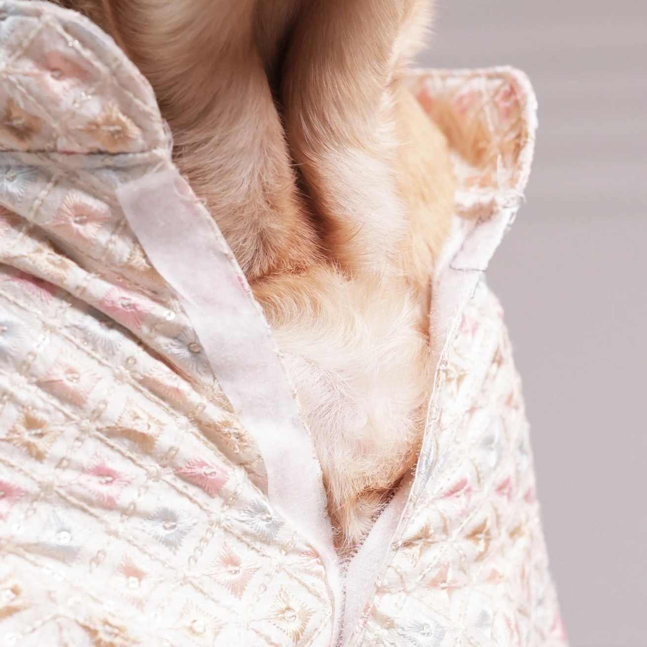 Premium Pastel Designer Dog Kurta | Festive Ethnic Wear for Dogs