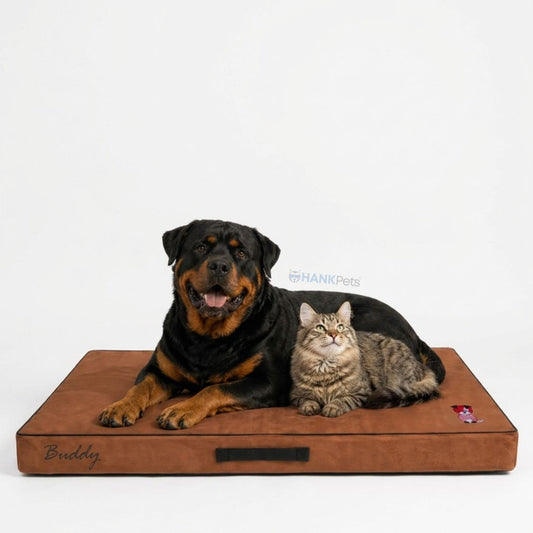Cooling Dog Bed with Orthopedic Foam | Soft, Washable & Anti-Skid Pet Mattress