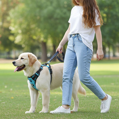 HANK 3M Reflective No Pull Dog Harness | Cyan Blue