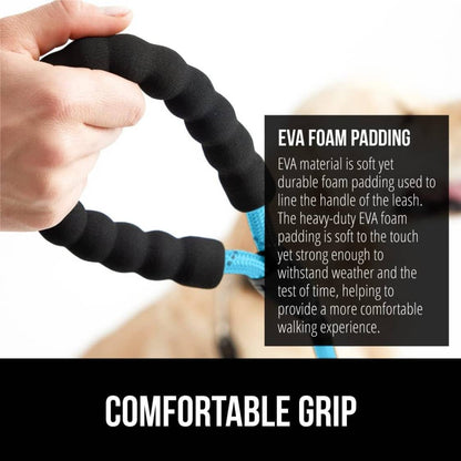 Blue Heavy Duty 5 Feet Dog Leash for Small, Medium & Large Breeds | Reflective