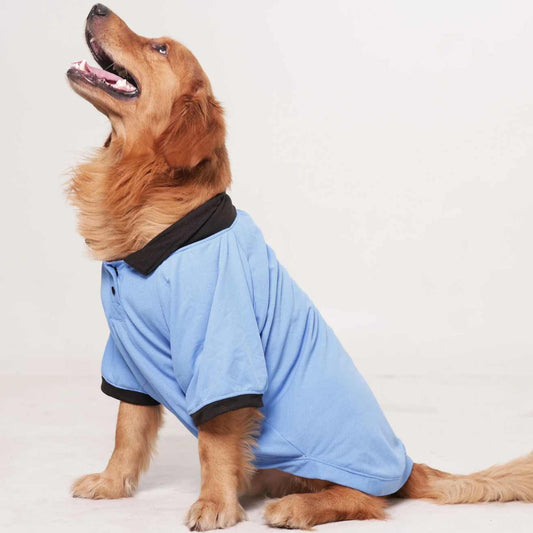 Sky Blue Dog Collar T-Shirt | Breathable Everyday Dog Wear (Blue)