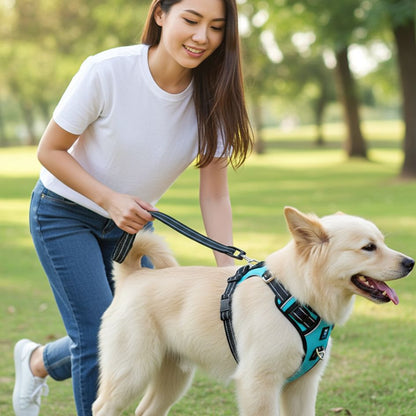 HANK 3M Reflective No Pull Dog Harness | Cyan Blue