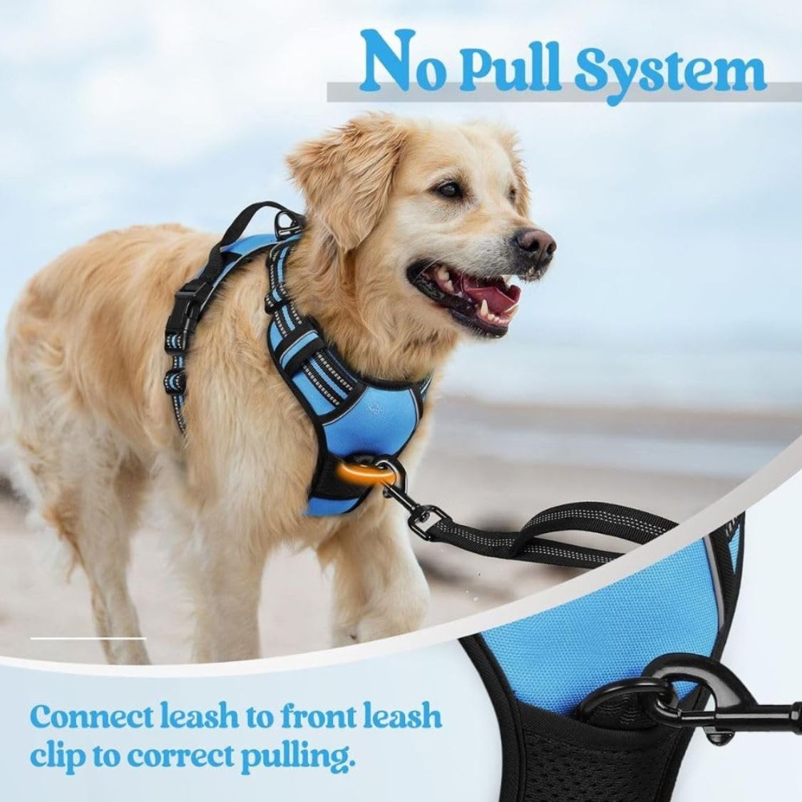 Dog Harness & Leash Set | Reflective No Pull Harness for All Sizes (Cyan Blue)
