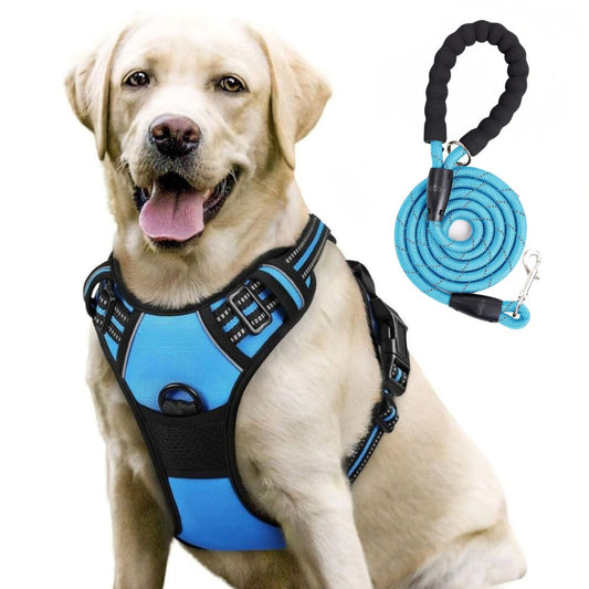 Dog Harness & Leash Set | Reflective No Pull Harness for All Sizes (Cyan Blue)