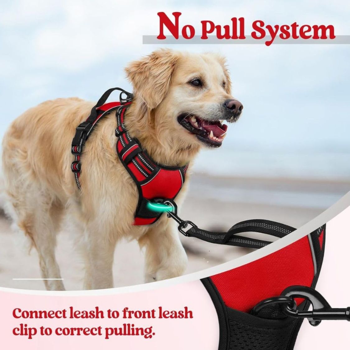 Dog Harness & Leash Set | Reflective No Pull Harness for All Sizes (Red)