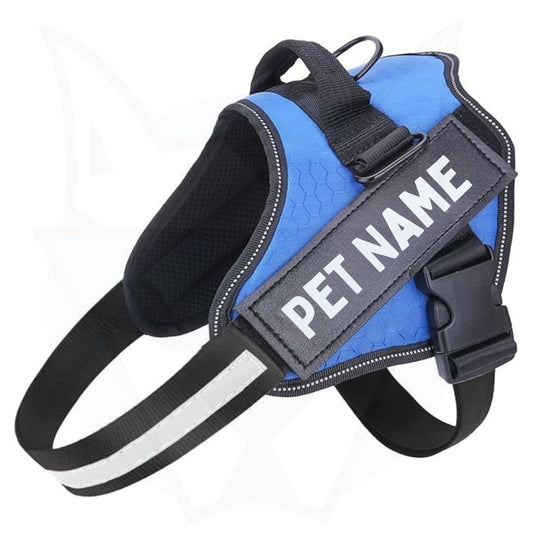 Personalized Reflective Dog Harness | Blue