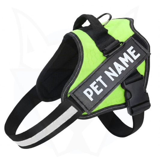 Personalized Reflective Dog Harness | Neon Green