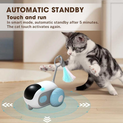Interactive Electric Pet Toy with Remote Control | Smart Dog & Cat Toy