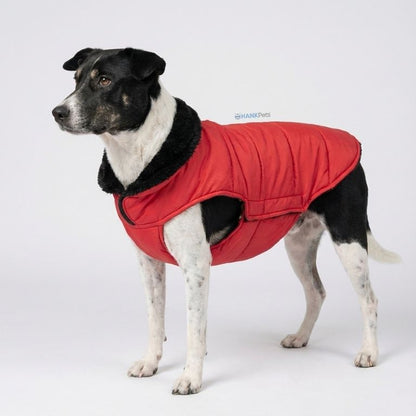 Warm Red Puffer Dog Coat | Waterproof & Lightweight