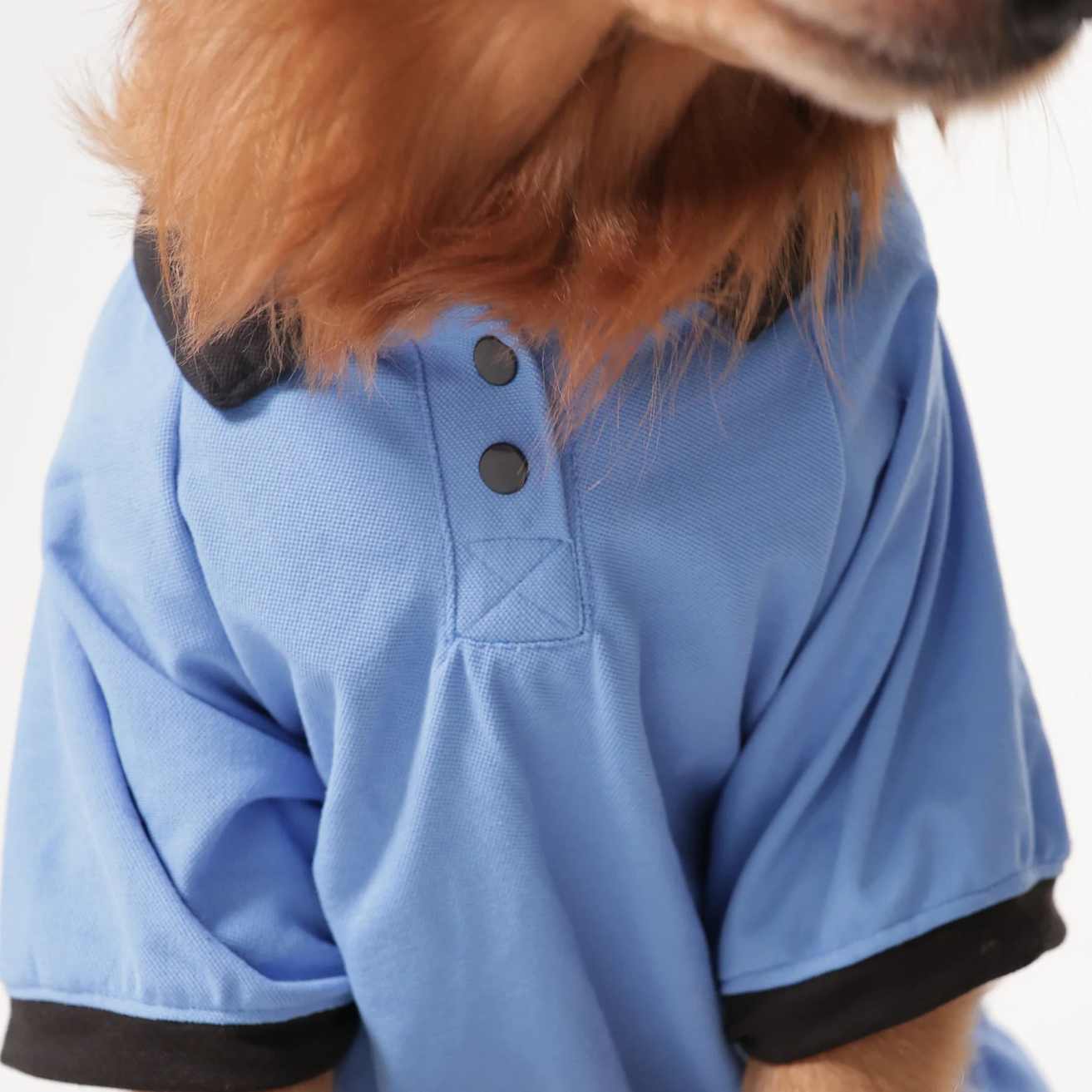 Sky Blue Dog Collar T-Shirt | Breathable Everyday Dog Wear (Blue)