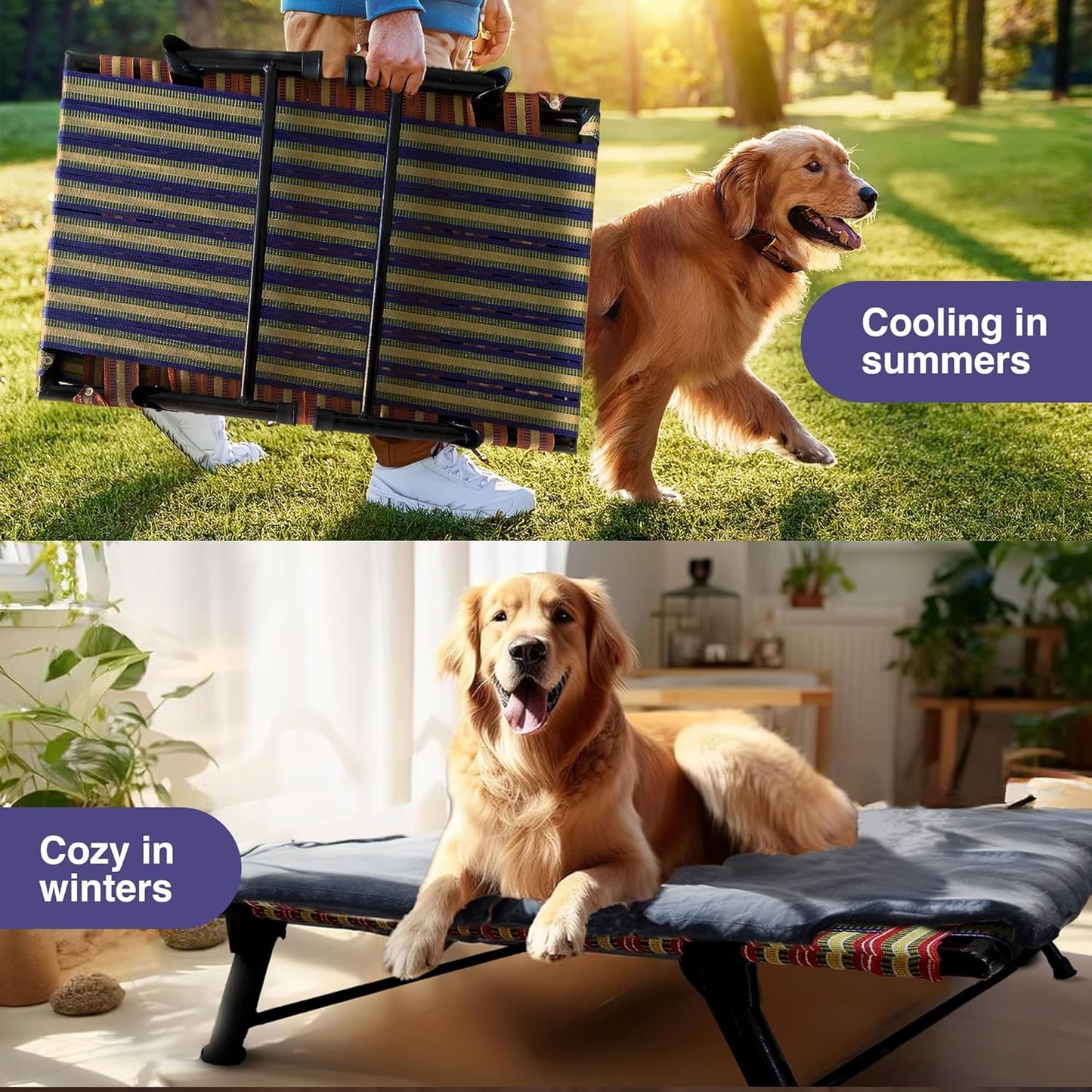 Folding Elevated Cat & Dog Bed | All Seasons Comfort with Breathable Nylon Mesh I Anti-Skid & Waterproof