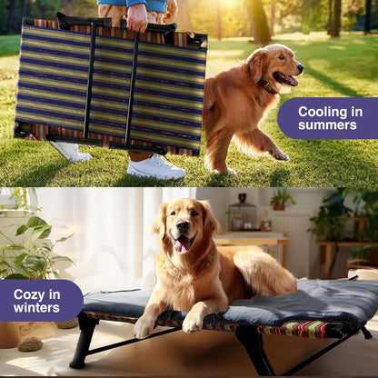 Folding Elevated Cat & Dog Bed | All Seasons Comfort with Breathable Nylon Mesh I Anti-Skid & Waterproof