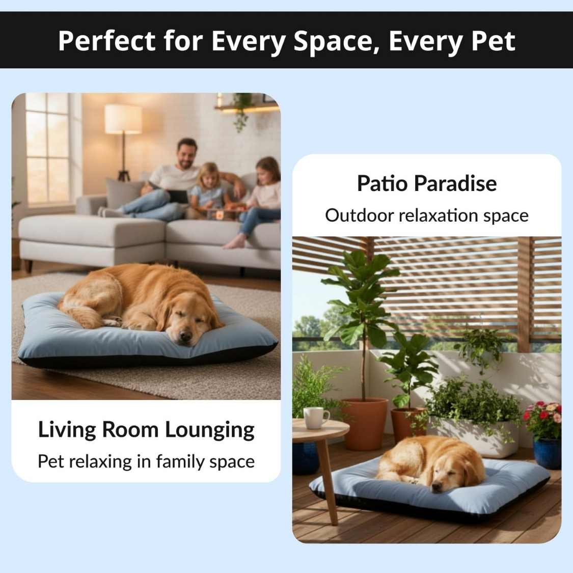 Reversible Pet Bed Washable Velvet Bed With Soft Mattress For Dogs & Cats (Blue)