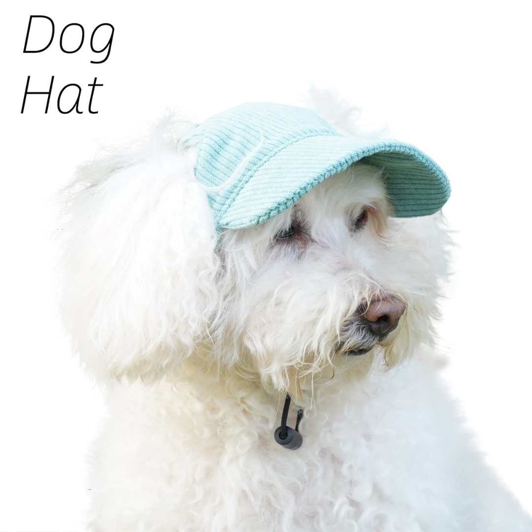 Stylish dog caps for small to large breeds. Adjustable fit, sun protection & breathable design.