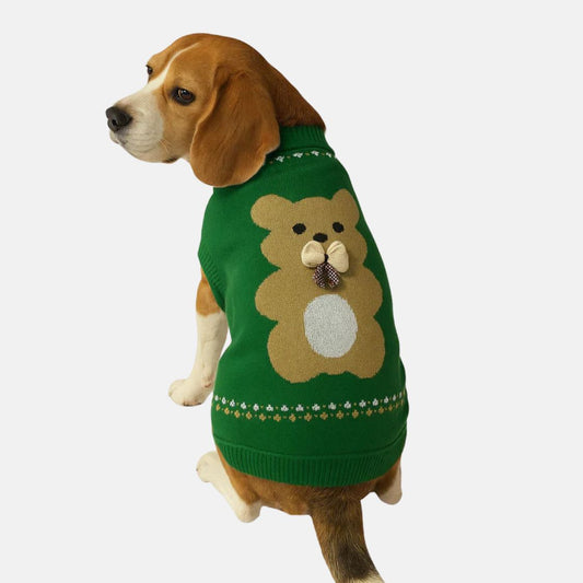Teddy Bear Sweater For Dogs & Cats