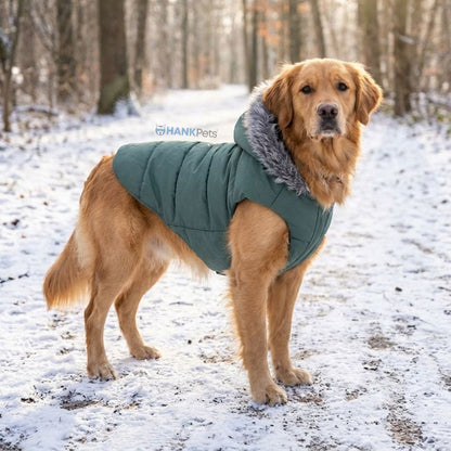 Waterproof Winter Dog Coat | Puffer Style