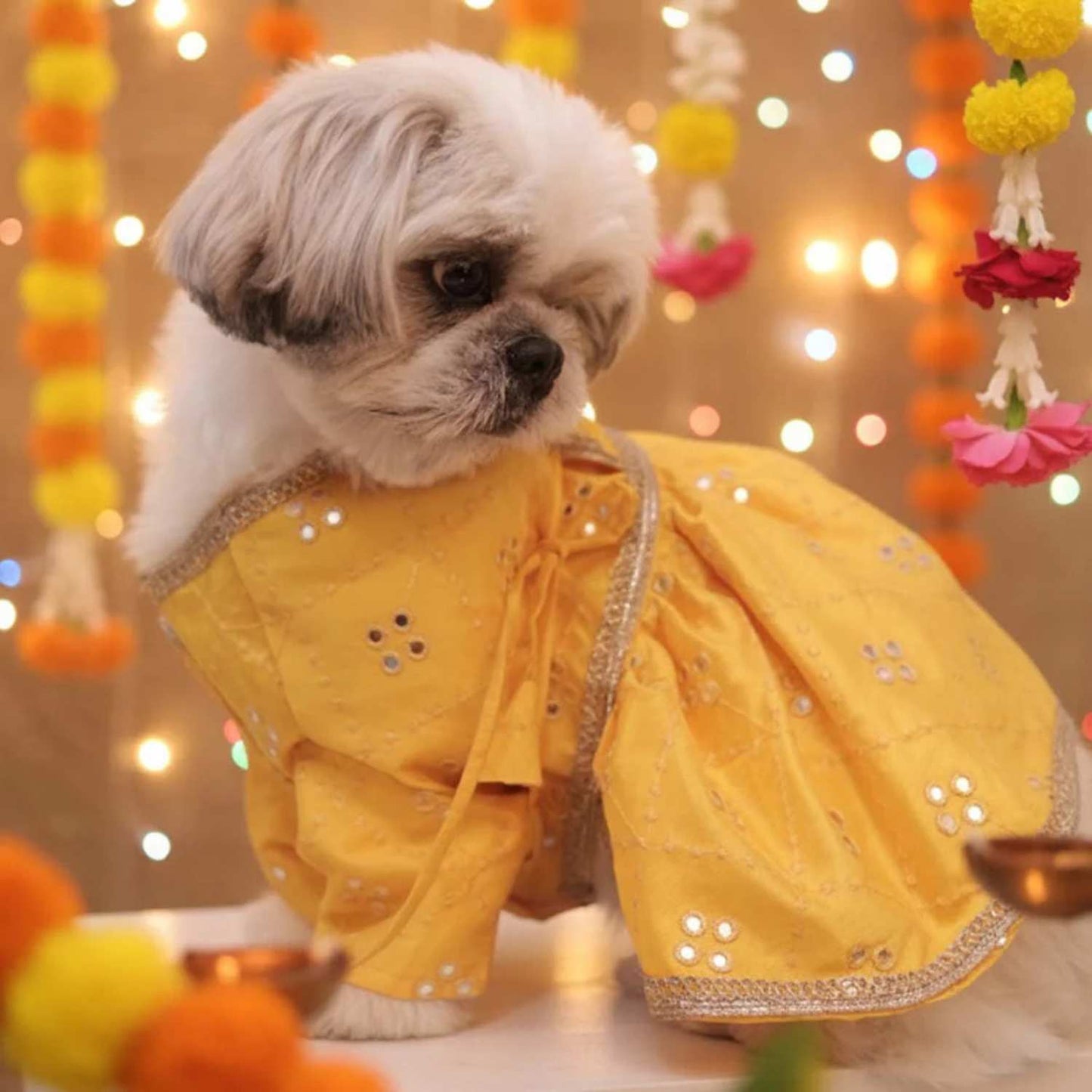 Sunshine Swirl Lehenga for Dog – Festive Pet Wear