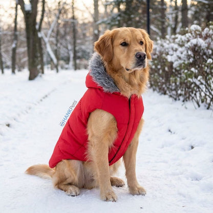Warm Red Puffer Dog Coat | Waterproof & Lightweight