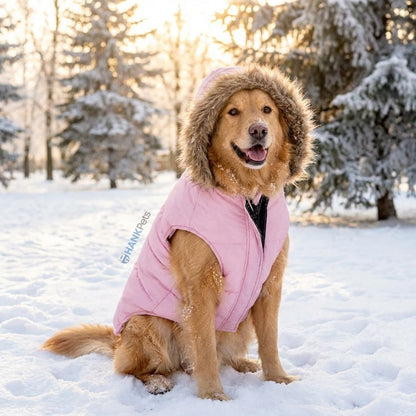 Pink Waterproof & Windproof Dog Winter Jacket