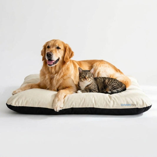 Reversible Pet Bed Washable Velvet Bed With Soft Mattress For Dogs & Cats (Cream)