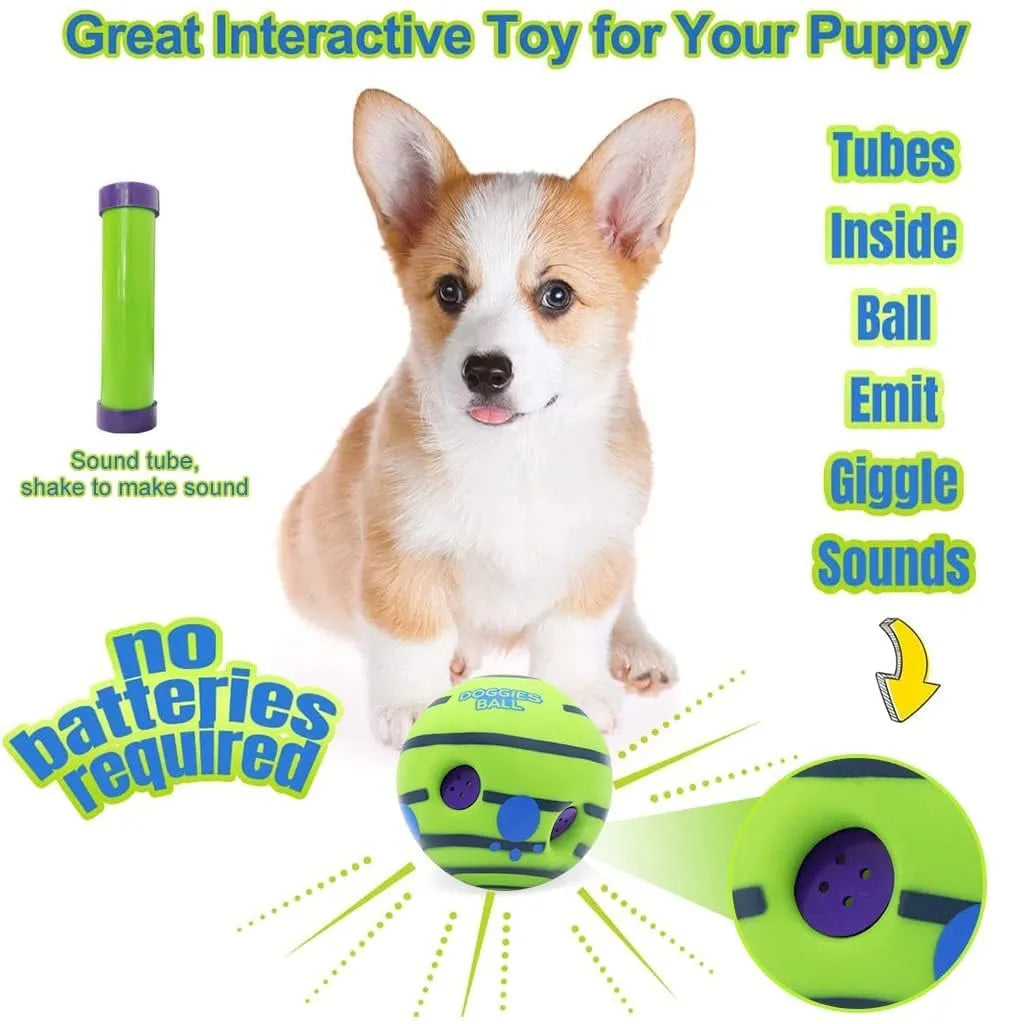 Dog fetching treat ball in park