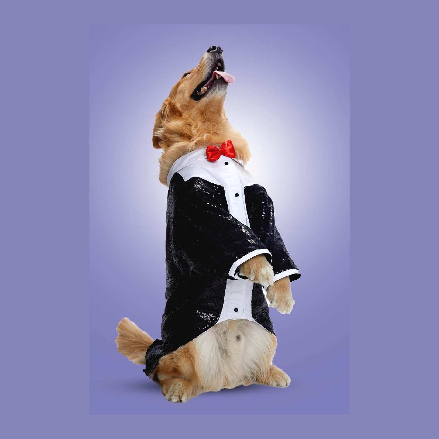 Formal Dog Tuxedo with Bow Tie – Sparkle Party Collection