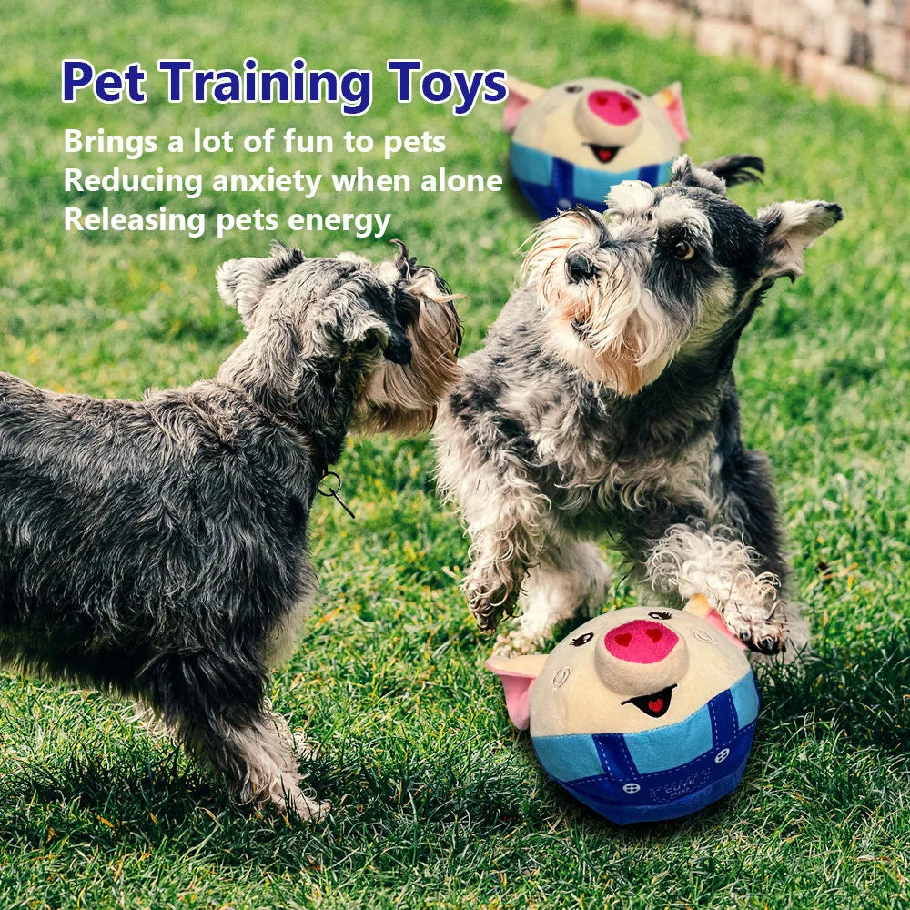 Dog playing with bouncing pig plush toy
