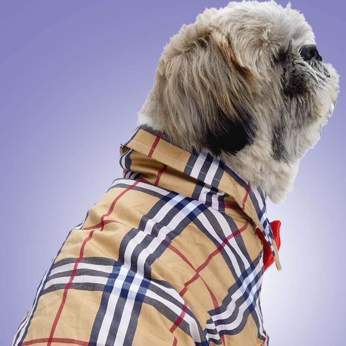 Classic Burberry Dog Clothes Shirt – Timeless Style & Daily Comfort