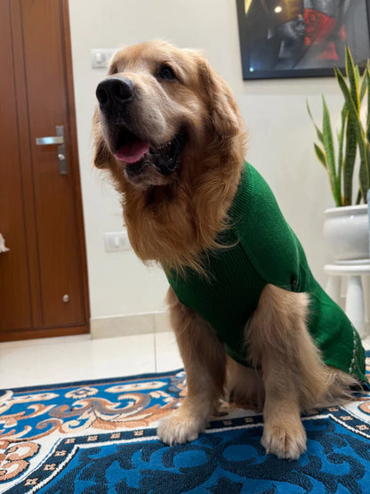 Petsnugs Teddy Bear Sweater For Dogs & Cats