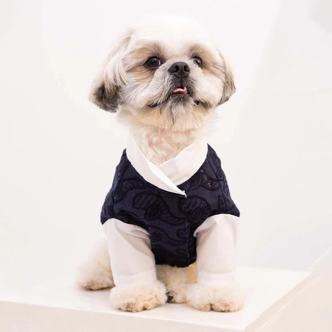 Royal Blue Modi Kurta for Dogs