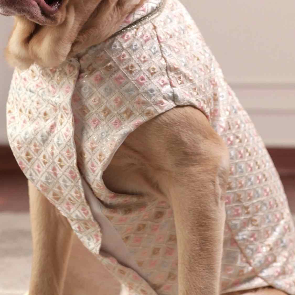 Luxe Pastel Dog Kurta | Regal Monosilk Wedding Festive Outfit