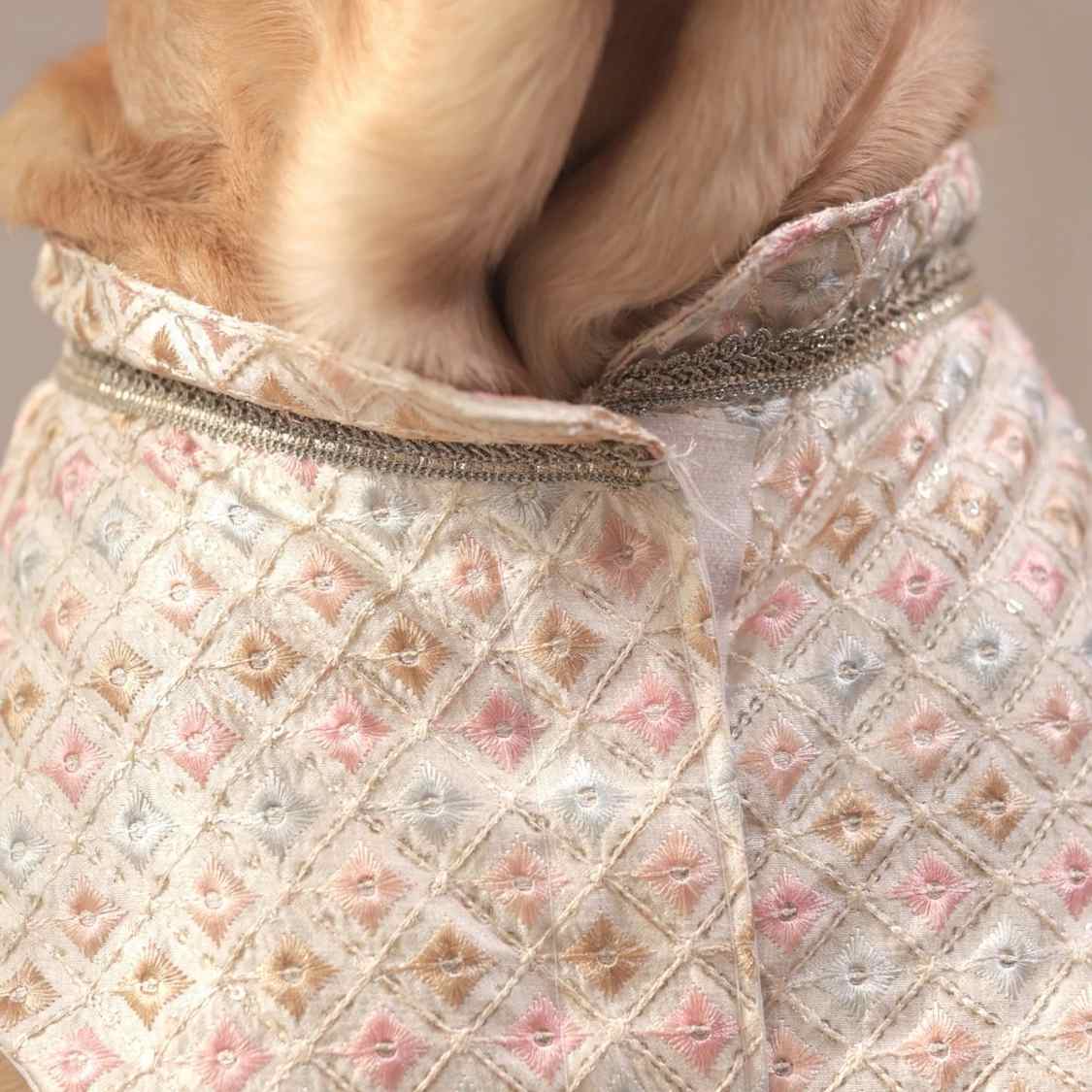 Luxe Pastel Dog Kurta | Regal Monosilk Wedding Festive Outfit