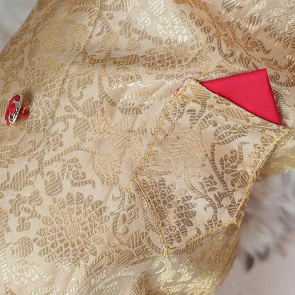 Royal Rajwada Kurta|  Wedding & Festive Ethnic Wear For Dogs