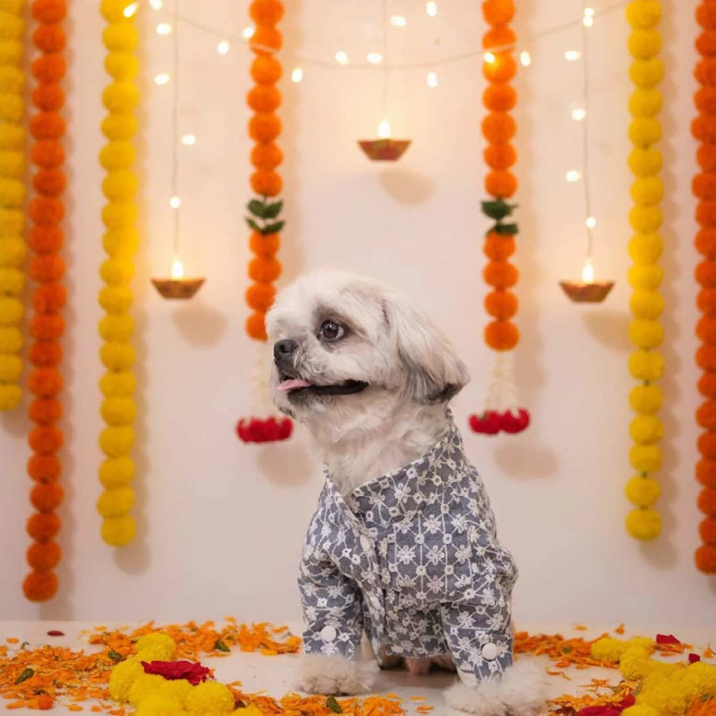Grey Blossom Dog Kurta (Sleeve) – Designer Ethnic Wear for Dogs