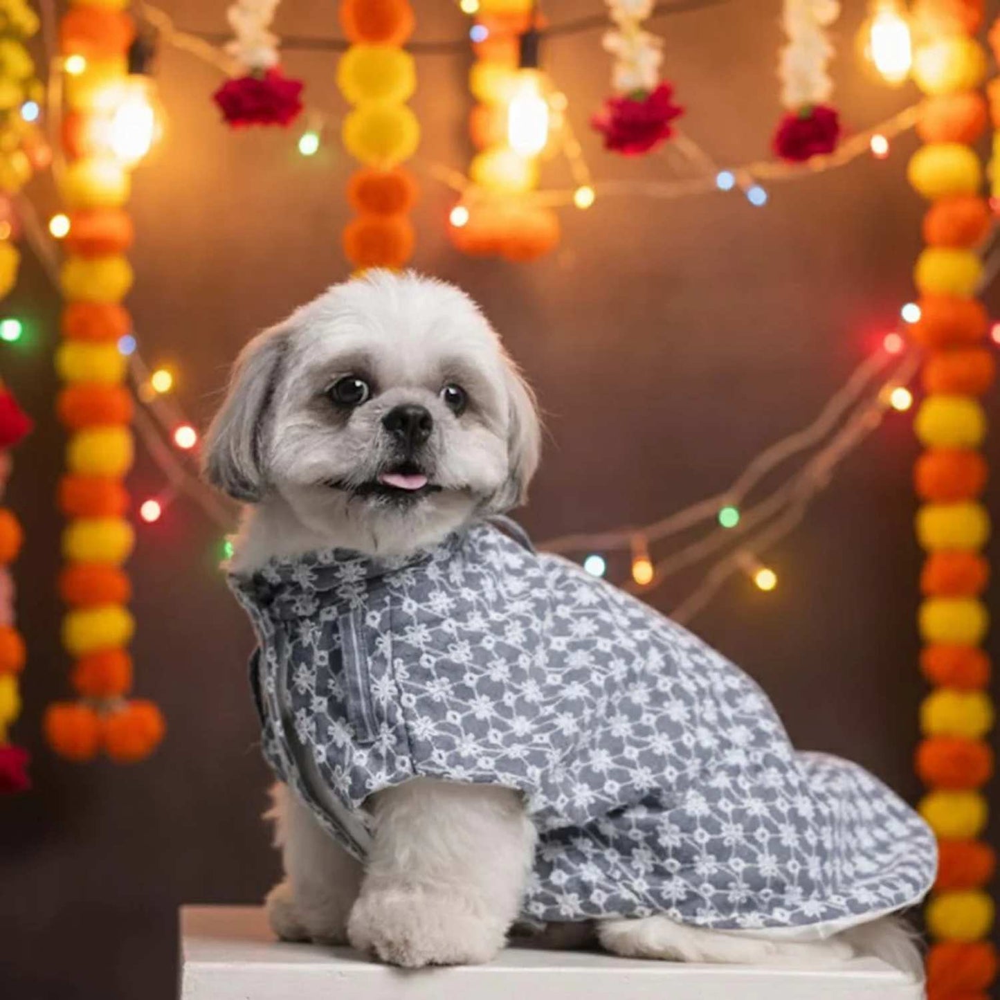 Grey Blossom Sleeveless Kurta for Dogs – Ethnic Pet Outfit