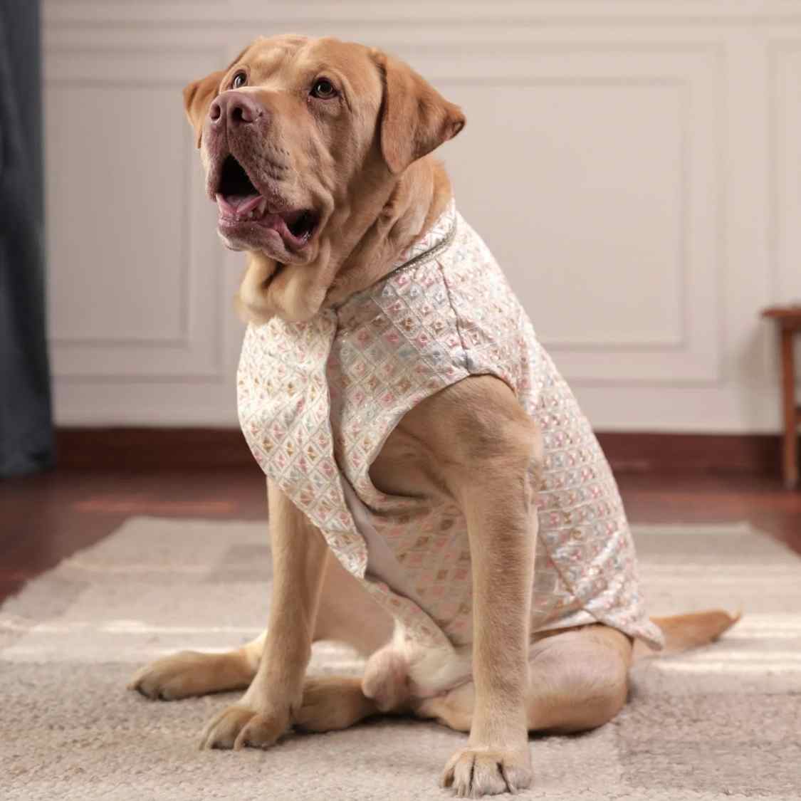 Luxe Pastel Dog Kurta | Regal Monosilk Wedding Festive Outfit