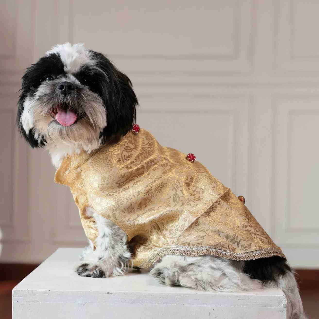 Royal Rajwada Kurta|  Wedding & Festive Ethnic Wear For Dogs