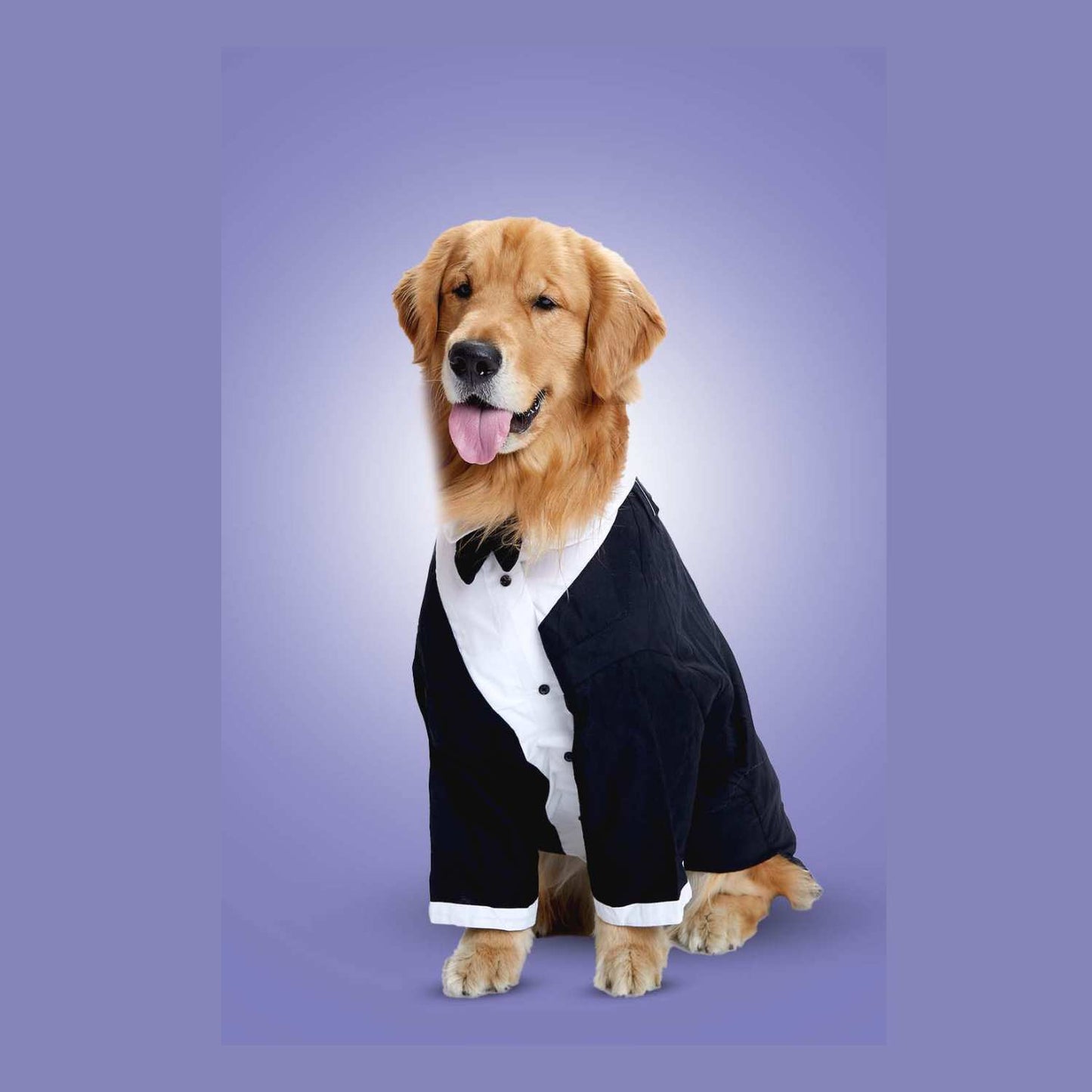 Formal Dog Tuxedo Suit with Bow Tie – Premium Party Wear for Dogs