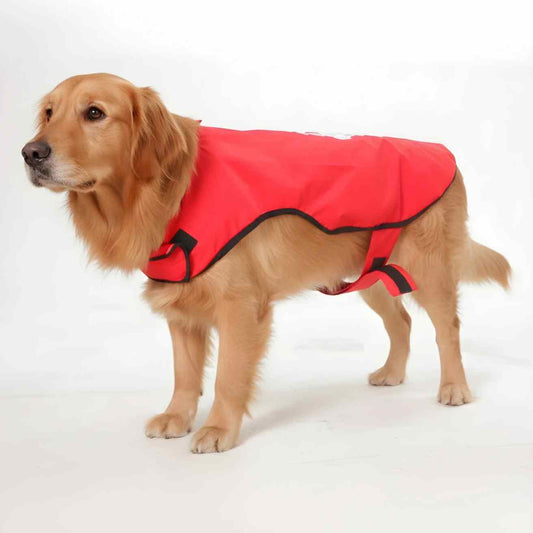 Happy Paws Dog Raincoat | Waterproof Cartoon Monsoon Jacket