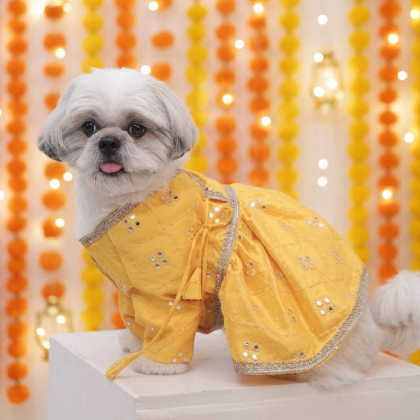 Sunshine Swirl Lehenga for Dog – Festive Pet Wear