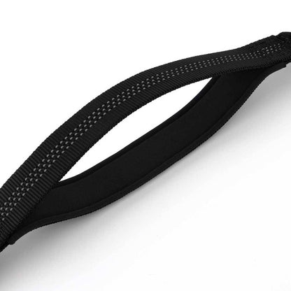 Double Handle Dog Leash