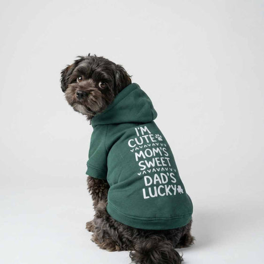 Olive Snug Hoodie | Cozy Olive Green Winter Pet Hoodie